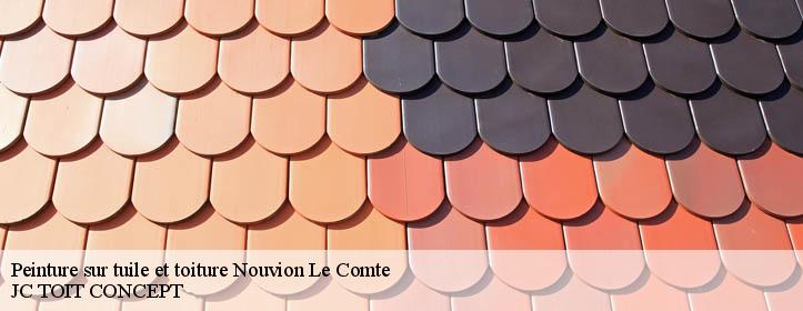 Peinture sur tuile et toiture  02800