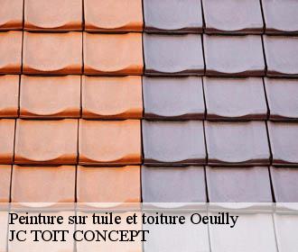 Peinture sur tuile et toiture  oeuilly-02160 JC TOIT CONCEPT