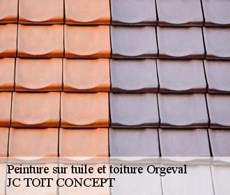 Peinture sur tuile et toiture  orgeval-02860 JC TOIT CONCEPT