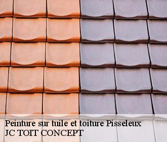Peinture sur tuile et toiture  pisseleux-02600 JC TOIT CONCEPT