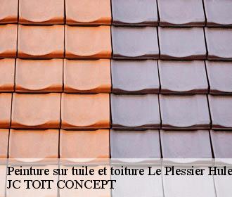Peinture sur tuile et toiture  le-plessier-huleu-02210 JC TOIT CONCEPT