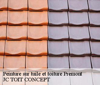 Peinture sur tuile et toiture  premont-02110 JC TOIT CONCEPT