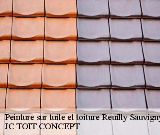Peinture sur tuile et toiture  reuilly-sauvigny-02850 JC TOIT CONCEPT
