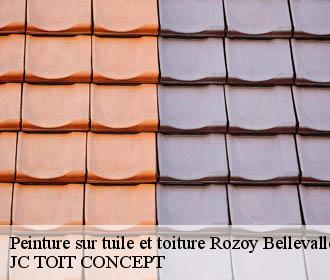 Peinture sur tuile et toiture  rozoy-bellevalle-02540 JC TOIT CONCEPT