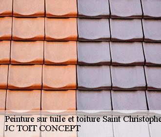 Peinture sur tuile et toiture  saint-christophe-a-berry-02290 JC TOIT CONCEPT
