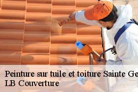 Peinture sur tuile et toiture  sainte-genevieve-02340 Toiture Dufresne