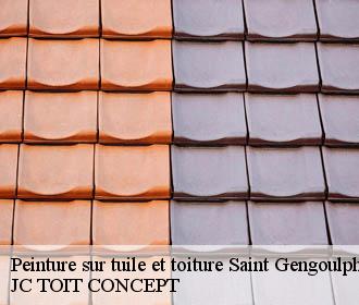 Peinture sur tuile et toiture  saint-gengoulph-02810 JC TOIT CONCEPT