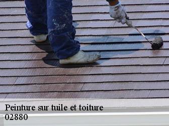 Peinture sur tuile et toiture 02880