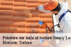 Peinture sur tuile et toiture sancy-les-cheminots-02880 Horizon Toiture