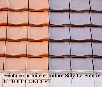 Peinture sur tuile et toiture  silly-la-poterie-02460 JC TOIT CONCEPT