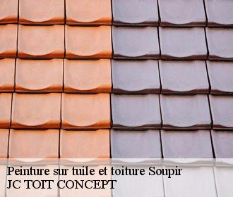 Peinture sur tuile et toiture  soupir-02160 JC TOIT CONCEPT