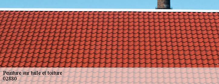 Peinture sur tuile et toiture  02880