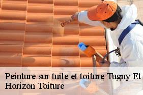 Peinture sur tuile et toiture tugny-et-pont-02640 Horizon Toiture