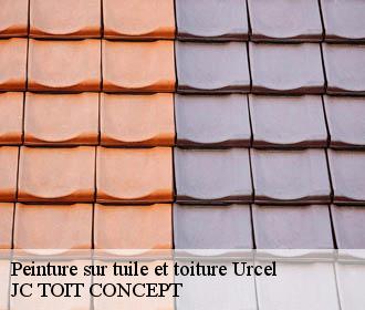 Peinture sur tuile et toiture  urcel-02000 JC TOIT CONCEPT