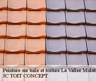Peinture sur tuile et toiture  la-vallee-mulatre-02110 JC TOIT CONCEPT
