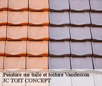 Peinture sur tuile et toiture  vaudesson-02320 JC TOIT CONCEPT