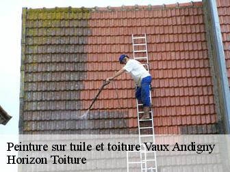 Peinture sur tuile et toiture 02110