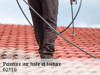 Peinture sur tuile et toiture