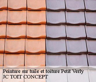 Peinture sur tuile et toiture  petit-verly-02630 JC TOIT CONCEPT