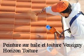 Peinture sur tuile et toiture versigny-02800 Horizon Toiture