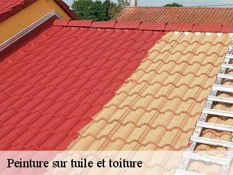 Peinture sur tuile et toiture