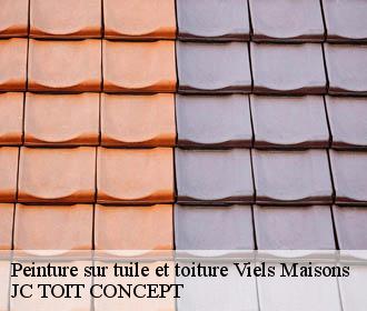 Peinture sur tuile et toiture  viels-maisons-02540 JC TOIT CONCEPT