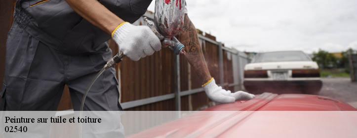 Peinture sur tuile et toiture  02540
