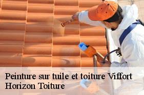 Peinture sur tuile et toiture viffort-02540 Horizon Toiture