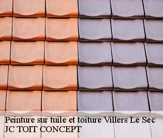 Peinture sur tuile et toiture  villers-le-sec-02240 JC TOIT CONCEPT