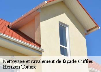 Nettoyage et ravalement de façade