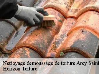 Nettoyage demoussage de toiture  02130