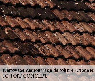 Nettoyage demoussage de toiture  artonges-02330 JC TOIT CONCEPT