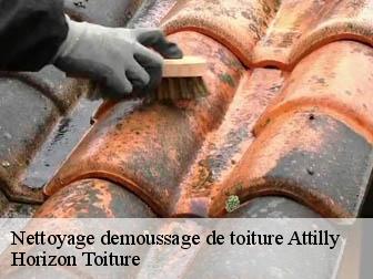 Nettoyage demoussage de toiture 02490