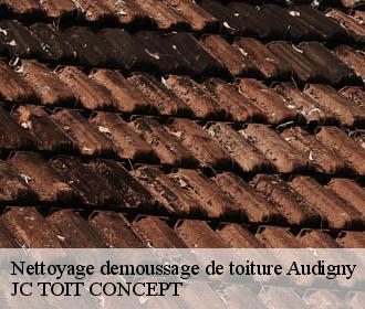 Nettoyage demoussage de toiture  audigny-02120 JC TOIT CONCEPT