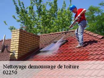 Nettoyage demoussage de toiture  02250