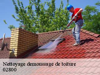 Nettoyage demoussage de toiture 02800