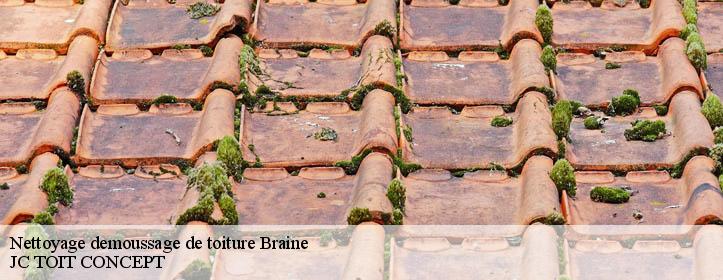 Nettoyage demoussage de toiture  02220