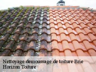 Nettoyage demoussage de toiture