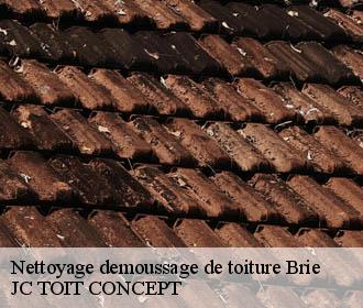 Nettoyage demoussage de toiture  brie-02870 JC TOIT CONCEPT