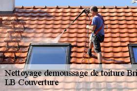 Nettoyage demoussage de toiture  brissy-hamegicourt-02240 LB Couverture