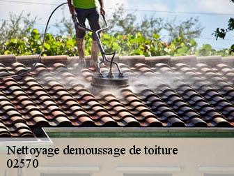 Nettoyage demoussage de toiture