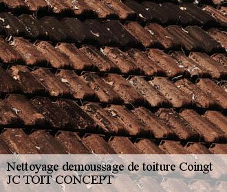 Nettoyage demoussage de toiture  coingt-02360 JC TOIT CONCEPT