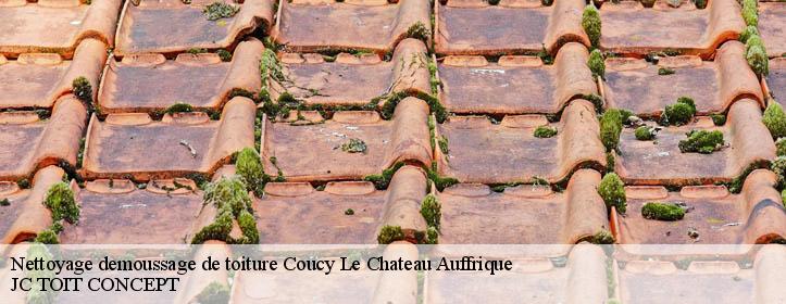 Nettoyage demoussage de toiture  02380
