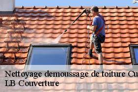 Nettoyage demoussage de toiture  cuirieux-02350 LB Couverture
