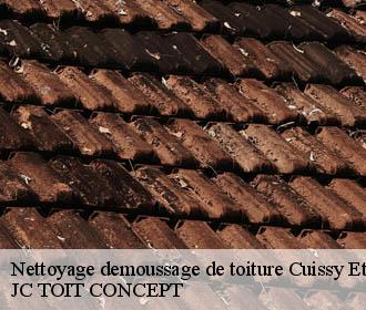 Nettoyage demoussage de toiture  cuissy-et-geny-02160 JC TOIT CONCEPT