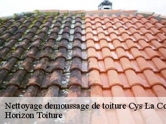 Nettoyage demoussage de toiture