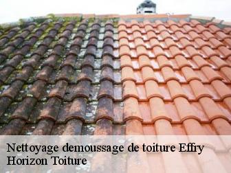 Nettoyage demoussage de toiture