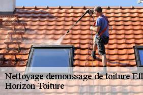 Nettoyage demoussage de toiture effry-02500 Horizon Toiture