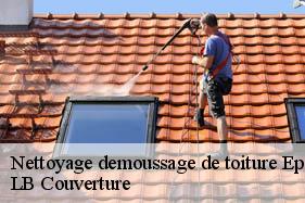 Nettoyage demoussage de toiture  epagny-02290 LB Couverture