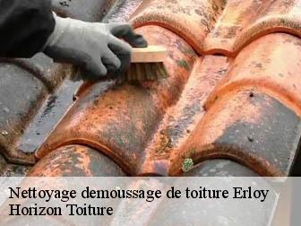 Nettoyage demoussage de toiture 02260